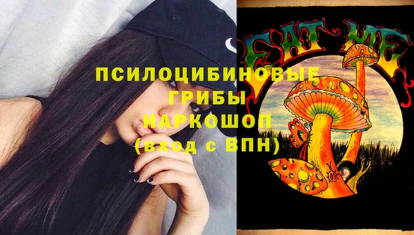 крисы Алзамай