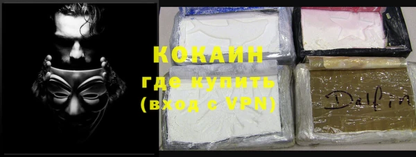 крисы Алзамай
